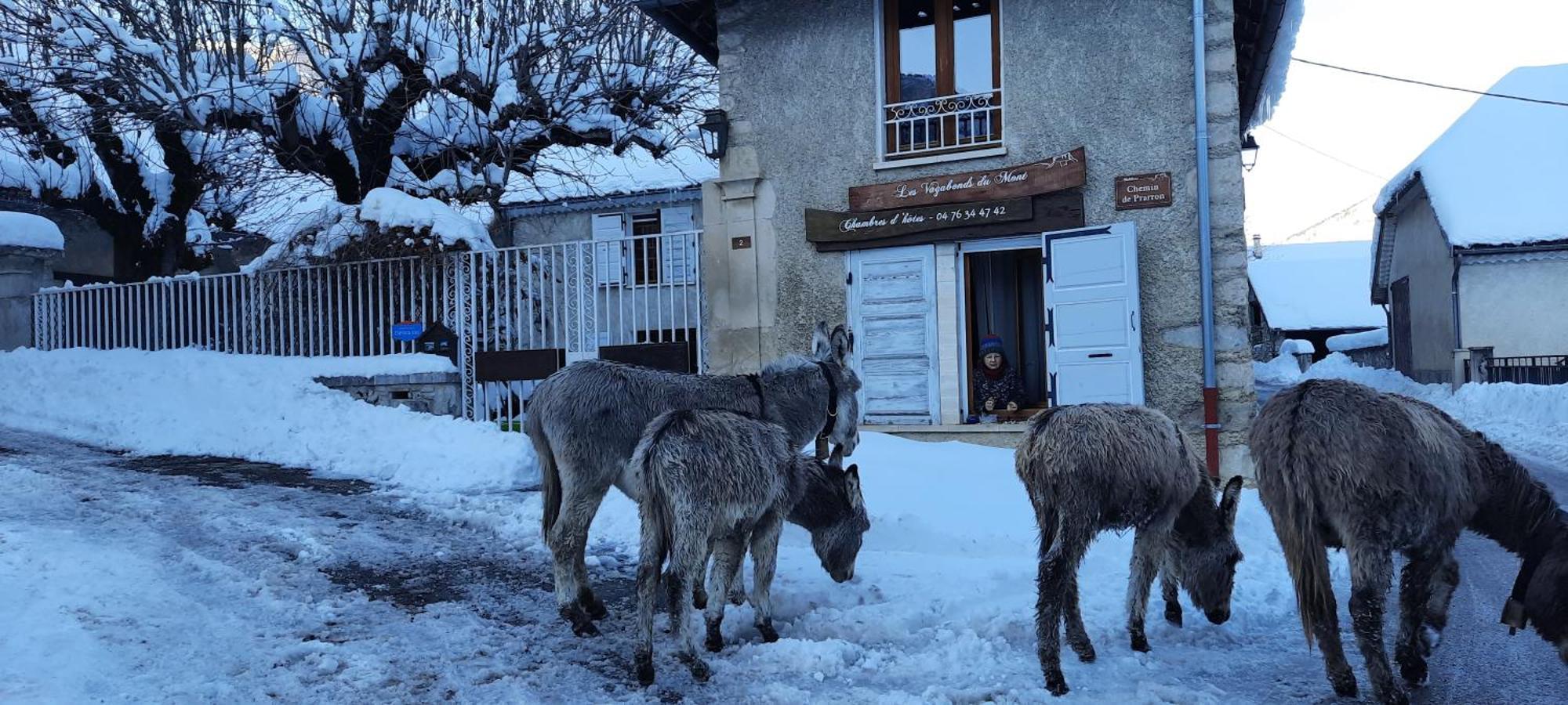 Bed and Breakfast Les Vagabonds Du Mont Chichilianne Exterior foto